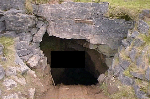 Piggie cave